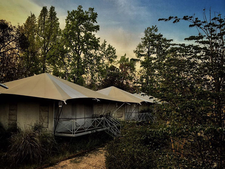 Bagh Tola in Bandhavgarh Bagh Tola in Bandhavgarh