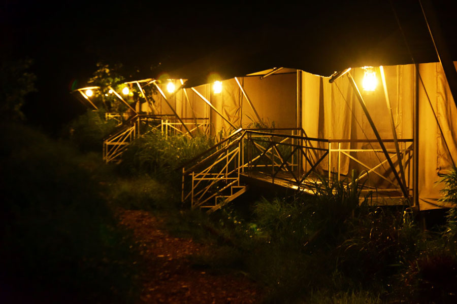 Bagh Tola in Bandhavgarh Bagh Tola in Bandhavgarh