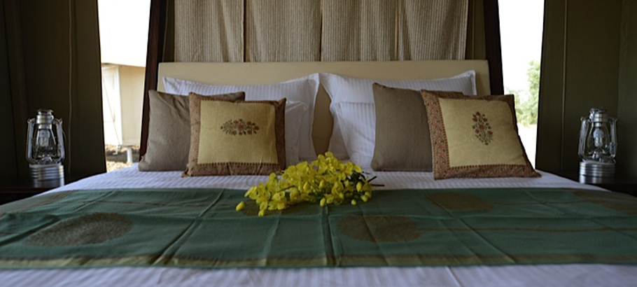 Bagh Tola in Bandhavgarh Bagh Tola in Bandhavgarh