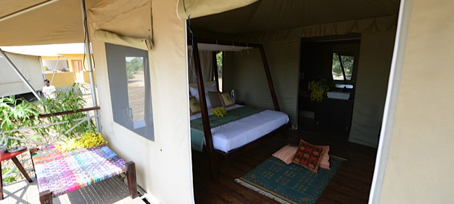 Bagh Tola in Bandhavgarh Bagh Tola in Bandhavgarh