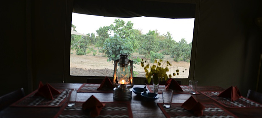 Bagh Tola in Bandhavgarh Bagh Tola in Bandhavgarh