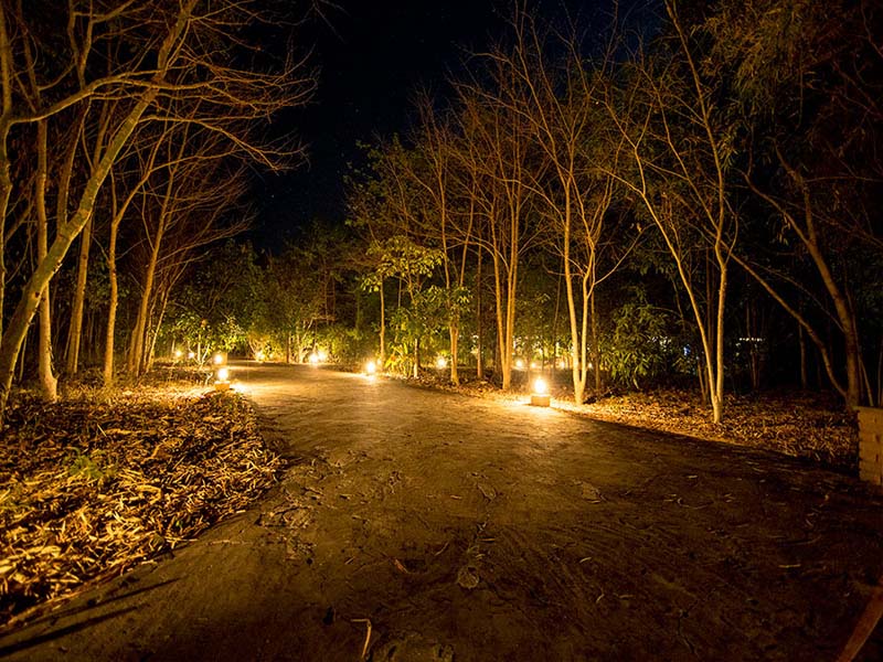 Bandhav Vilas in Bandhavgarh Bandhav Vilas in Bandhavgarh
