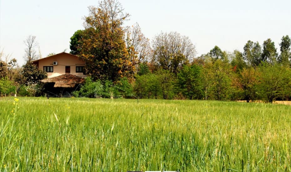 Camp Aranya in Bandhavgarh Camp Aranya in Bandhavgarh