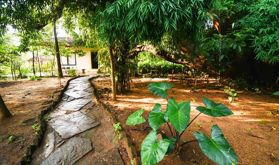 Camp Aranya in Bandhavgarh Camp Aranya in Bandhavgarh