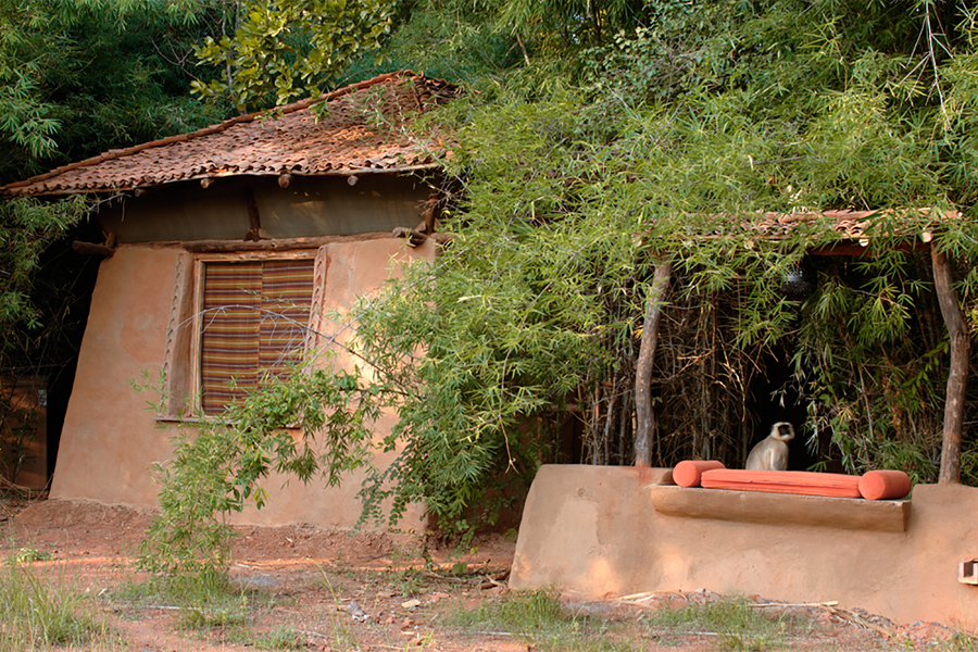 Mahua Kothi in Bandhavgarh Mahua Kothi in Bandhavgarh