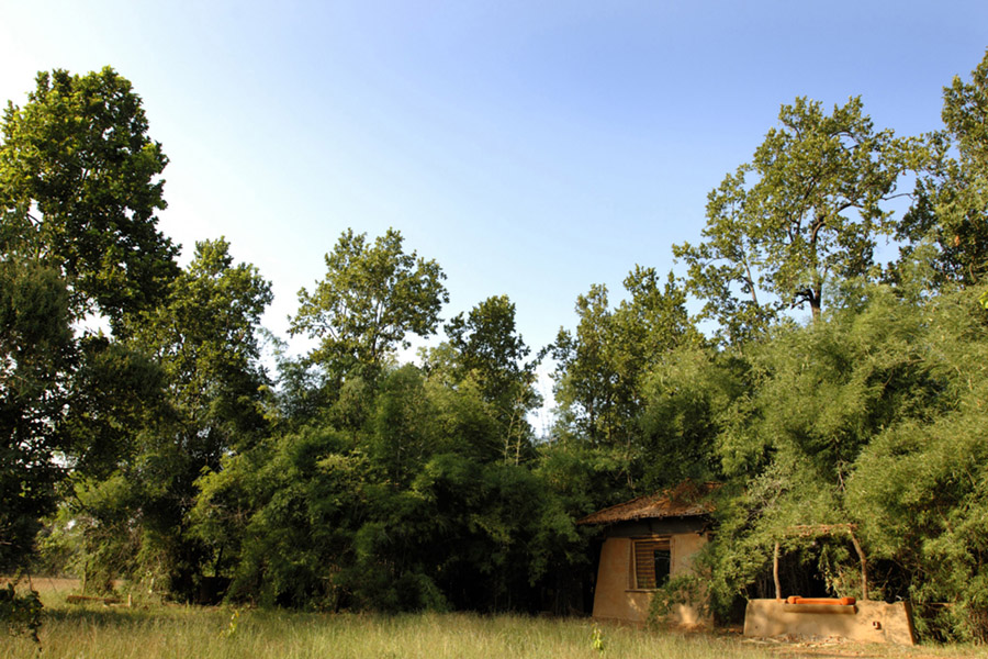 Mahua Kothi in Bandhavgarh Mahua Kothi in Bandhavgarh