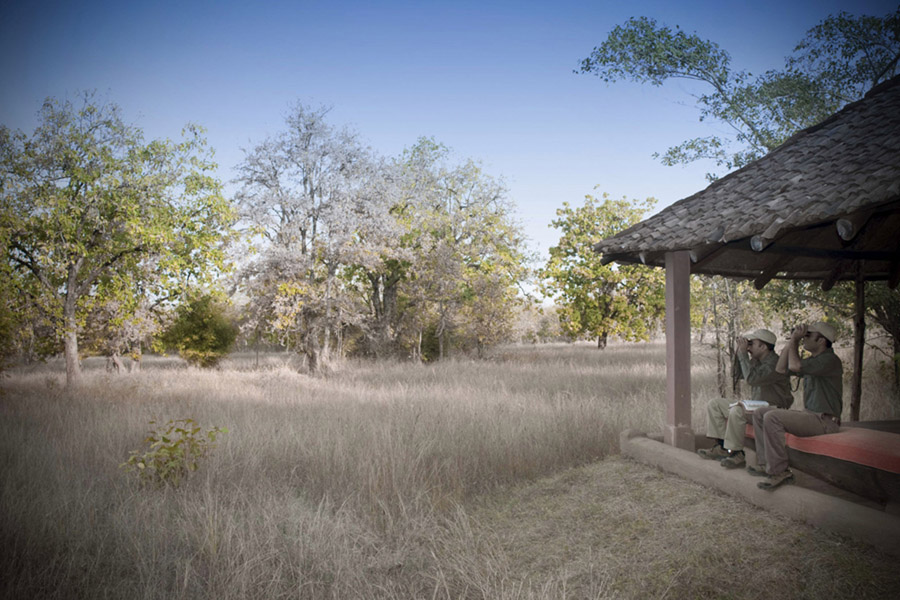 Mahua Kothi in Bandhavgarh Mahua Kothi in Bandhavgarh