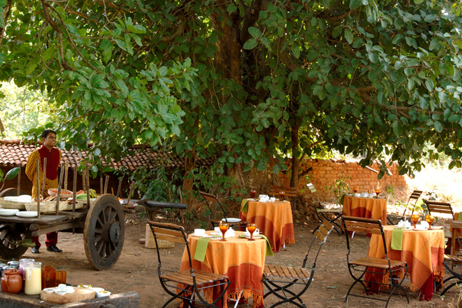 Mahua Kothi in Bandhavgarh Mahua Kothi in Bandhavgarh