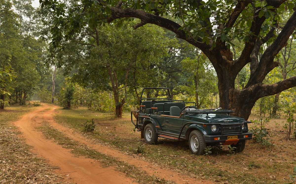 Syna Tiger Resort in Bandhavgarh Syna Tiger Resort in Bandhavgarh
