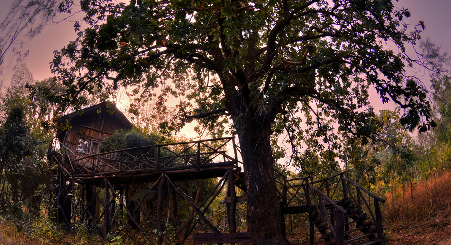 Tree House Hideaway in Bandhavgarh Tree House Hideaway in Bandhavgarh