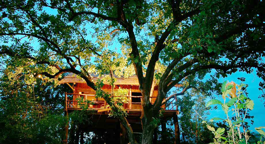 Tree House Hideaway in Bandhavgarh Tree House Hideaway in Bandhavgarh