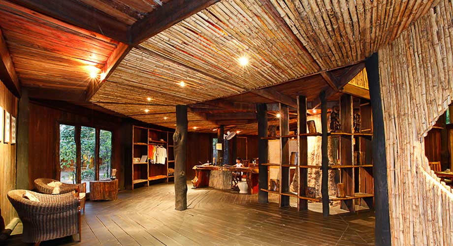 Tree House Hideaway in Bandhavgarh Tree House Hideaway in Bandhavgarh