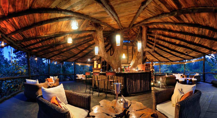 Tree House Hideaway in Bandhavgarh Tree House Hideaway in Bandhavgarh