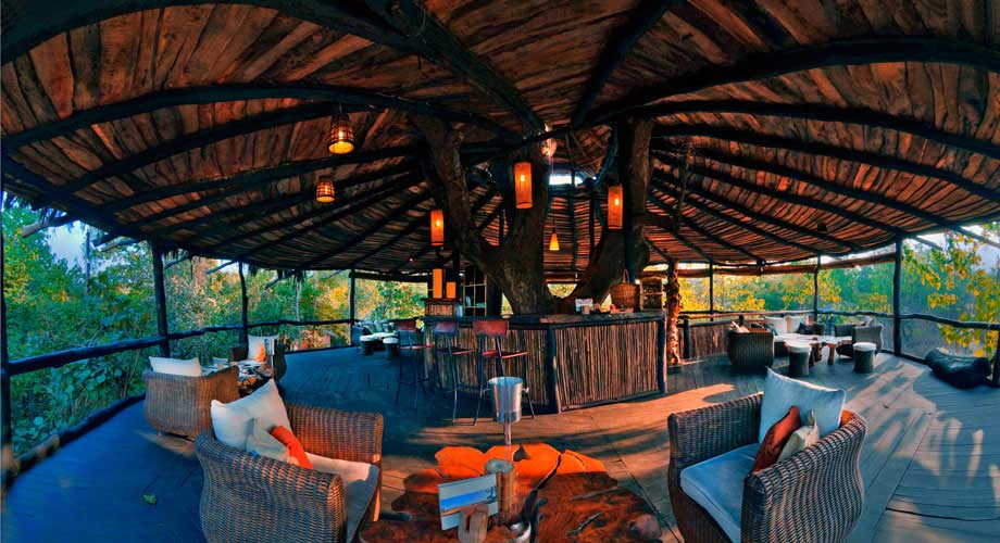 Tree House Hideaway in Bandhavgarh Tree House Hideaway in Bandhavgarh