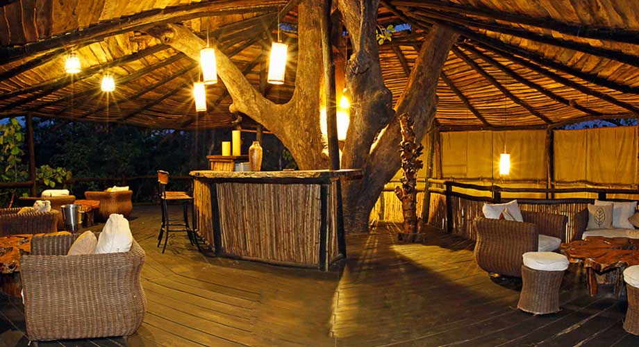 Tree House Hideaway in Bandhavgarh Tree House Hideaway in Bandhavgarh