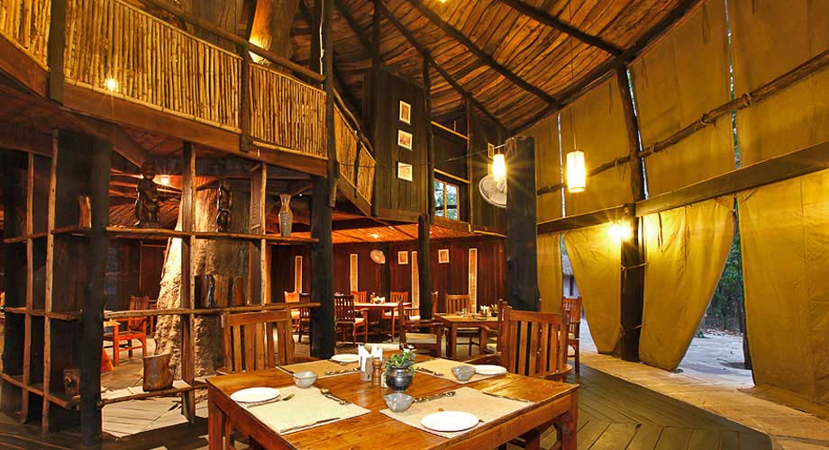Tree House Hideaway in Bandhavgarh Tree House Hideaway in Bandhavgarh