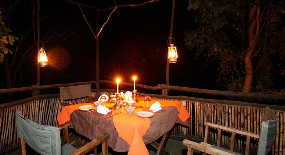 Tree House Hideaway in Bandhavgarh Tree House Hideaway in Bandhavgarh