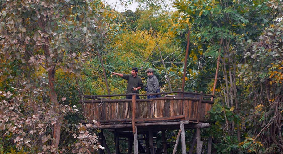 Tree House Hideaway in Bandhavgarh Tree House Hideaway in Bandhavgarh